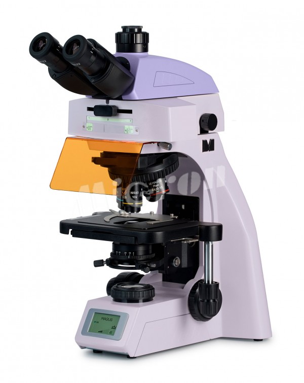 Микроскоп люминесцентный MAGUS Lum 450L (83484)