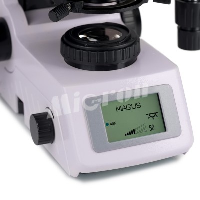 Микроскоп люминесцентный MAGUS Lum 450L (83484)