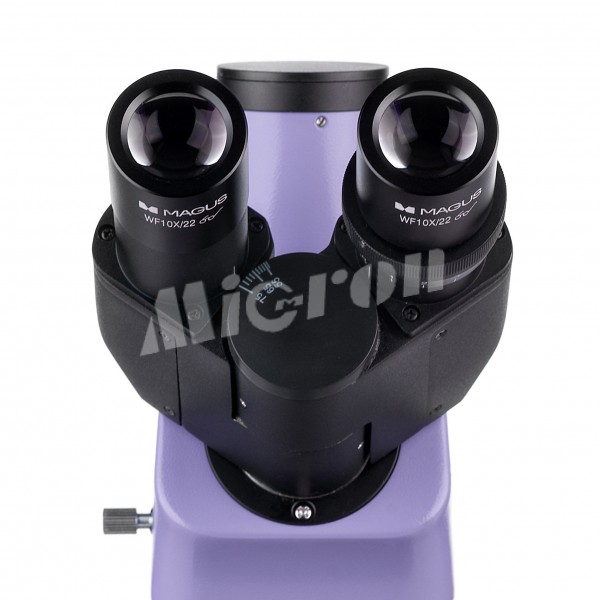 Микроскоп люминесцентный MAGUS Lum 400L (82905)
