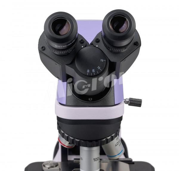 Микроскоп биологический цифровой MAGUS Bio DH240 (83478)