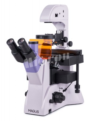 Микроскоп люминесцентный инвертированный MAGUS Lum V500L (82909)
