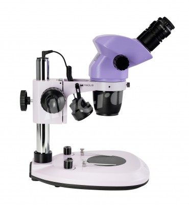 Микроскоп стереоскопический MAGUS Stereo 8B (83514)