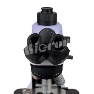 Микроскоп биологический MAGUS Bio 240T (83477)
