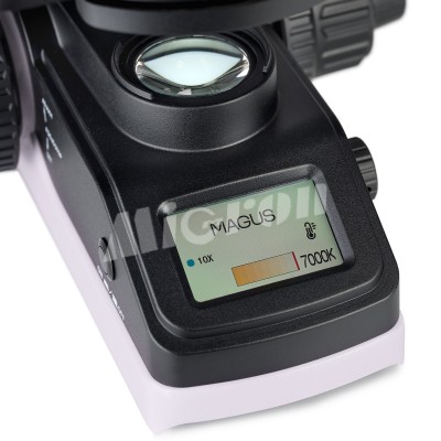 Микроскоп биологический MAGUS Bio 240T (83477)