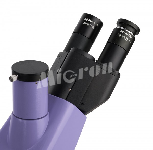 Микроскоп биологический инвертированный MAGUS Bio V300 (82906)