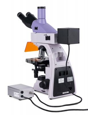 Микроскоп люминесцентный MAGUS Lum 400L (82905)