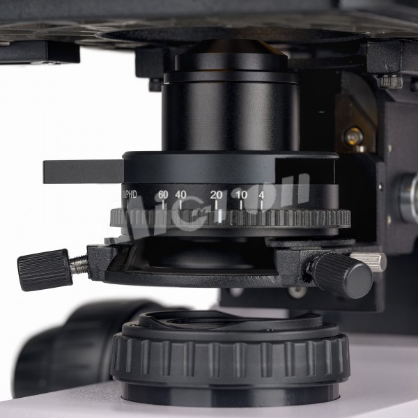 Микроскоп люминесцентный MAGUS Lum 450L (83484)