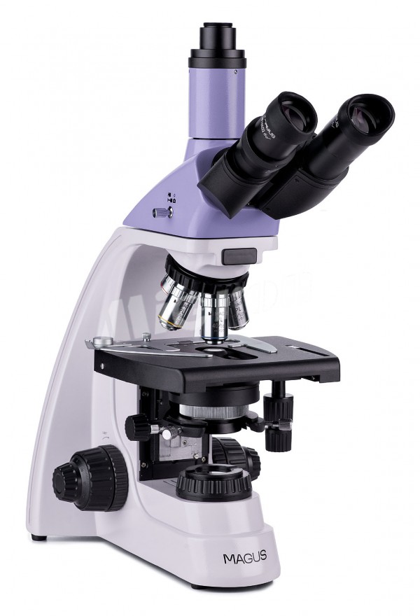 Микроскоп биологический MAGUS Bio 250T (82890)