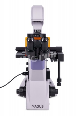 Микроскоп люминесцентный инвертированный MAGUS Lum V500 (82908)