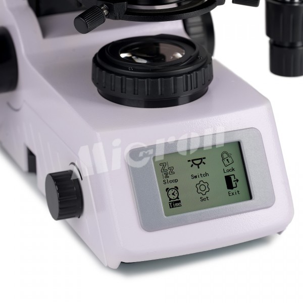 Микроскоп биологический цифровой MAGUS Bio DH260 (83480)