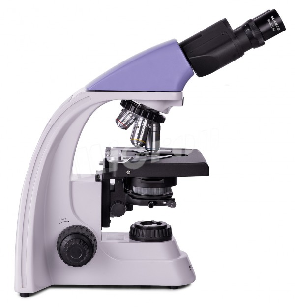 Микроскоп биологический MAGUS Bio 250B (82888)