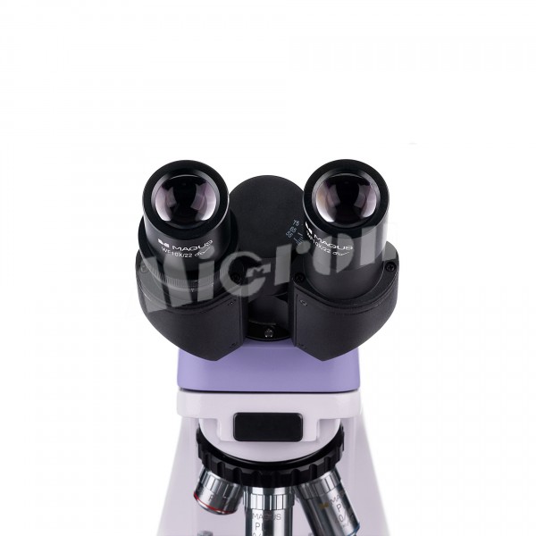 Микроскоп биологический MAGUS Bio 250B (82888)