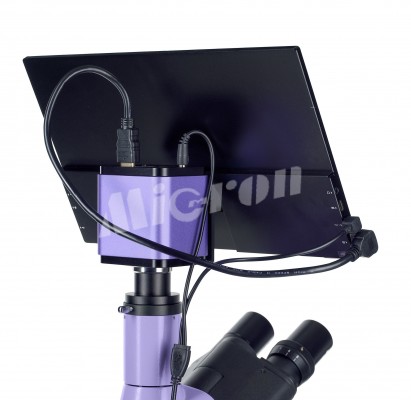 Микроскоп люминесцентный цифровой MAGUS Lum D400L LCD (83019)