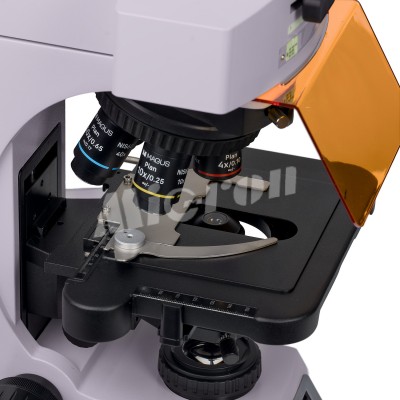 Микроскоп люминесцентный MAGUS Lum 450L (83484)