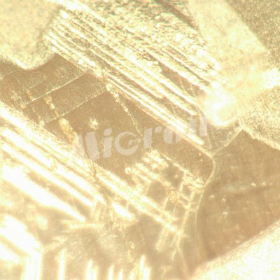Микроскоп металлографический инвертированный MAGUS Metal V700 BD (82903)
