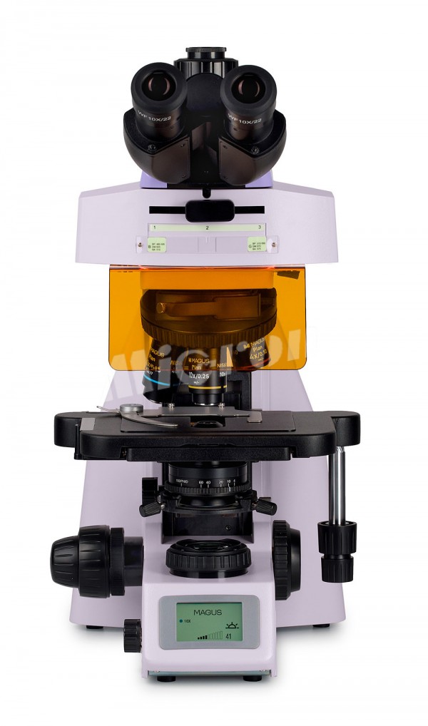 Микроскоп люминесцентный MAGUS Lum 450L (83484)