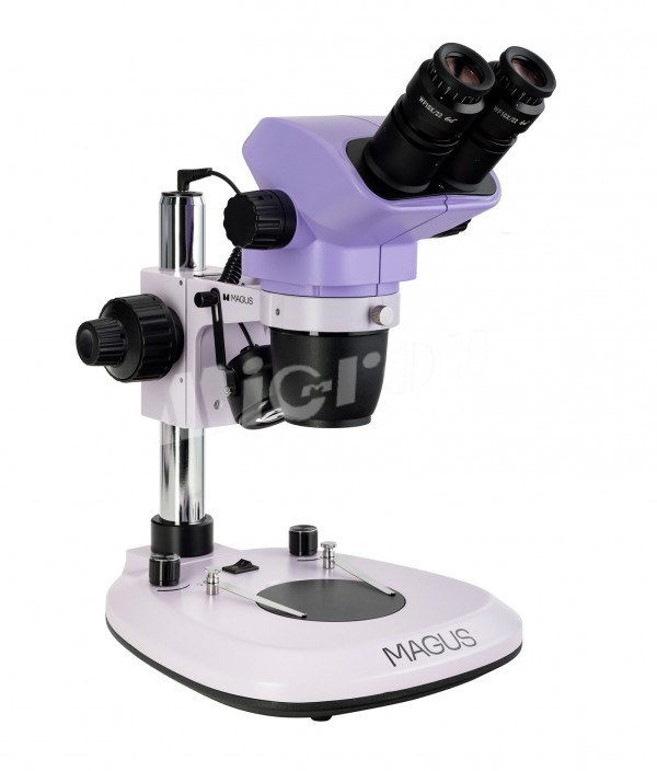 Микроскоп стереоскопический MAGUS Stereo 8B (83514)