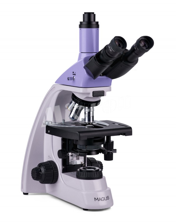 Микроскоп биологический MAGUS Bio 230TL (82895)