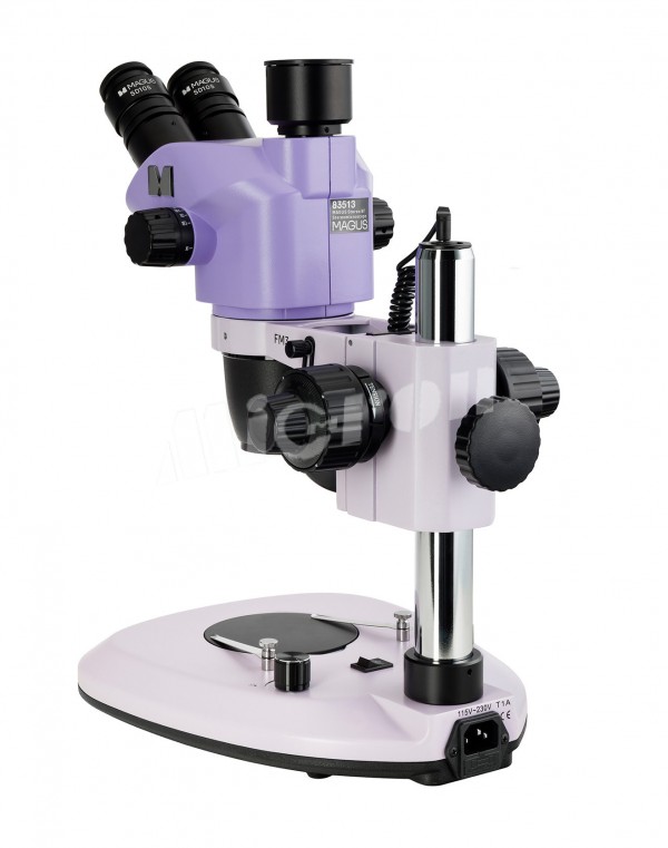 Микроскоп стереоскопический MAGUS Stereo 8T (83513)
