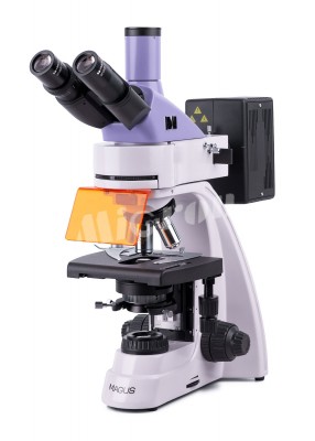 Микроскоп люминесцентный MAGUS Lum 400 (82904)