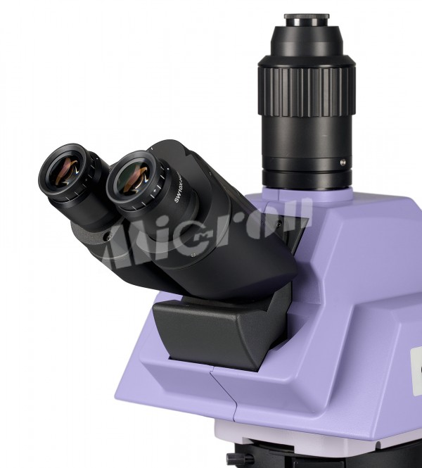 Микроскоп биологический MAGUS Bio 290T (83482)