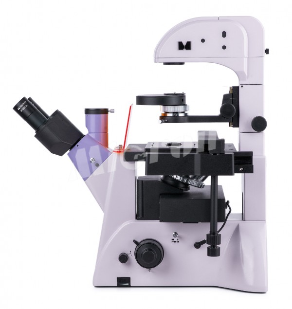 Микроскоп люминесцентный инвертированный MAGUS Lum V500L (82909)