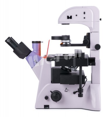 Микроскоп люминесцентный инвертированный MAGUS Lum V500L (82909)