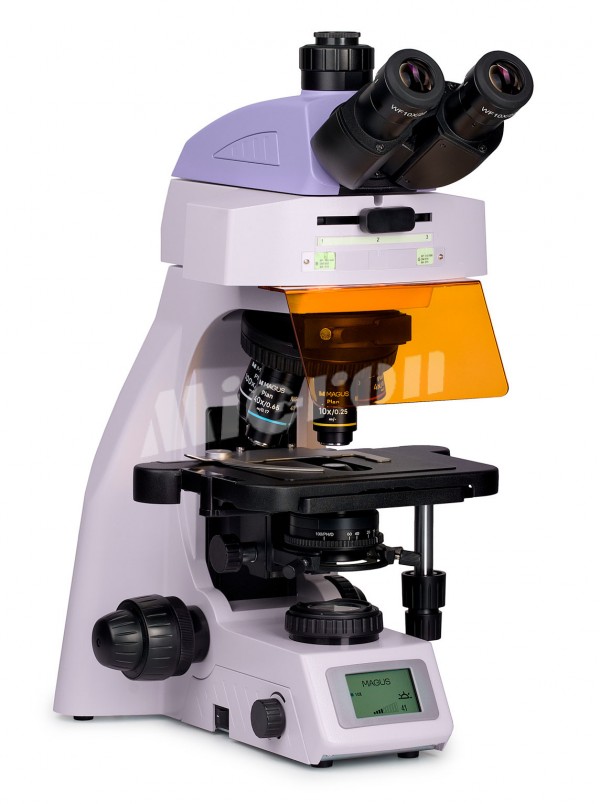 Микроскоп люминесцентный MAGUS Lum 450L (83484)