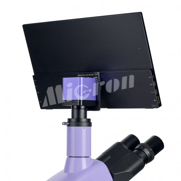 Микроскоп биологический цифровой MAGUS Bio D250TL LCD (83011)