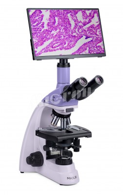 Микроскоп биологический цифровой MAGUS Bio D250TL LCD (83011)