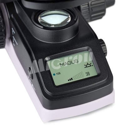 Микроскоп биологический цифровой MAGUS Bio DH240 (83478)
