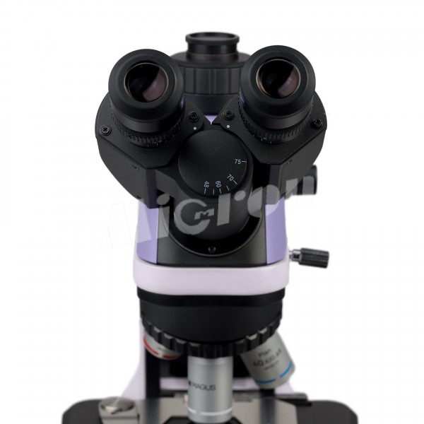 Микроскоп биологический MAGUS Bio 240T (83477)