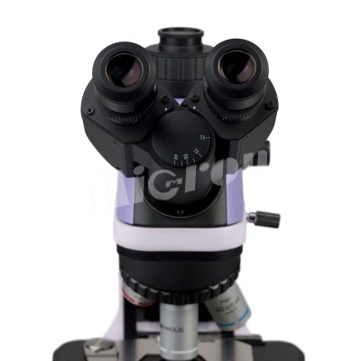 Микроскоп биологический MAGUS Bio 240T (83477)