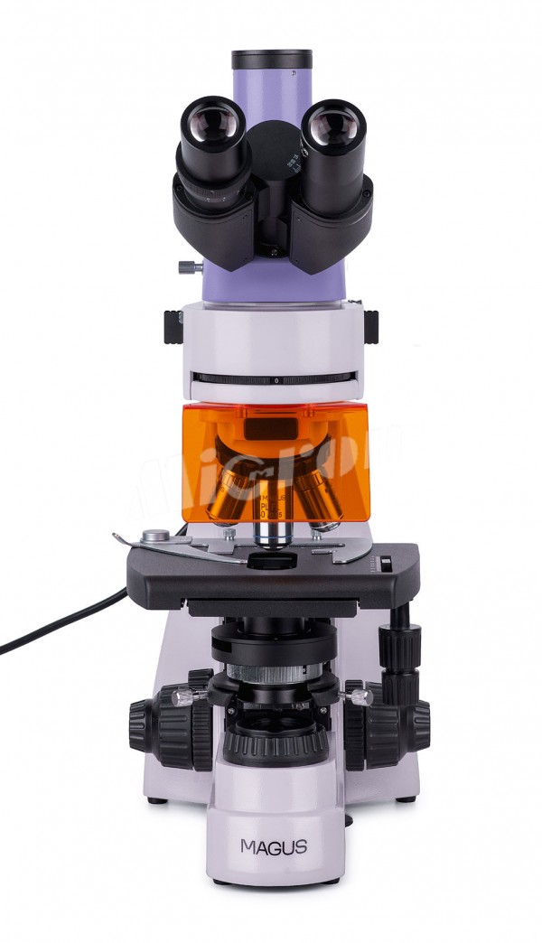 Микроскоп люминесцентный MAGUS Lum 400L (82905)