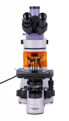 Микроскоп люминесцентный MAGUS Lum 400L (82905)