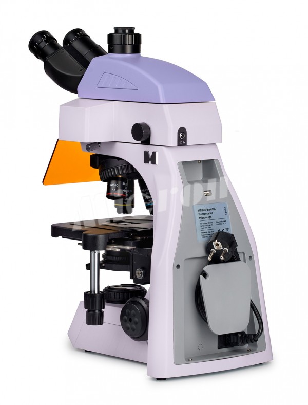 Микроскоп люминесцентный MAGUS Lum 450L (83484)