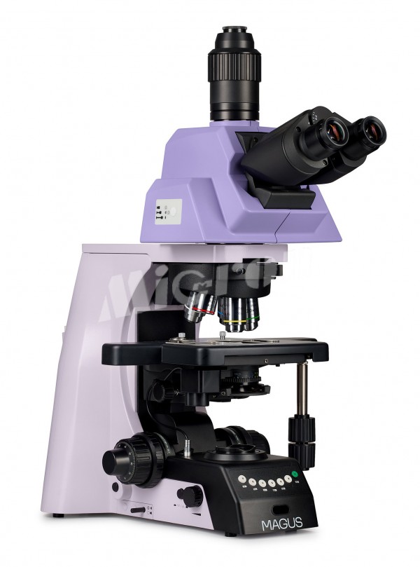 Микроскоп биологический MAGUS Bio 290T (83482)