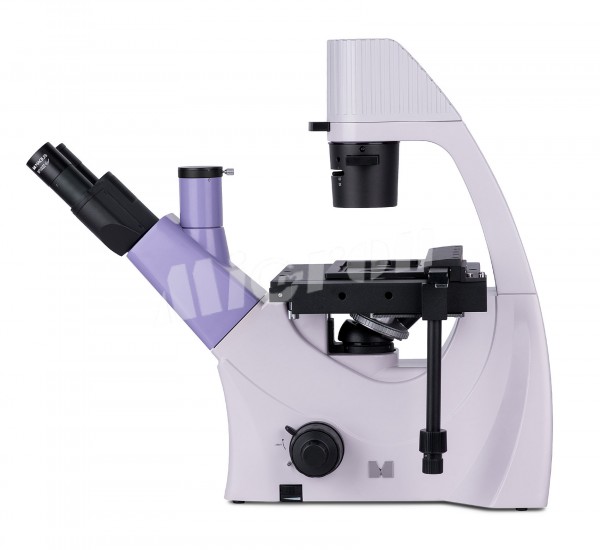 Микроскоп биологический инвертированный MAGUS Bio V300 (82906)
