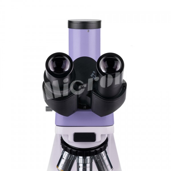 Микроскоп биологический MAGUS Bio 250T (82890)