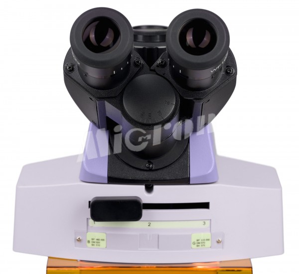Микроскоп люминесцентный MAGUS Lum 450L (83484)