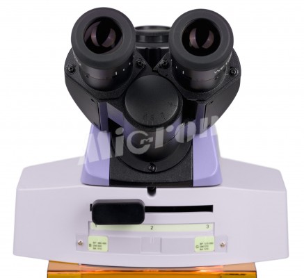 Микроскоп люминесцентный MAGUS Lum 450L (83484)