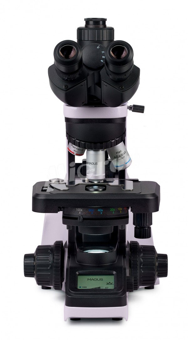 Микроскоп биологический MAGUS Bio 240T (83477)