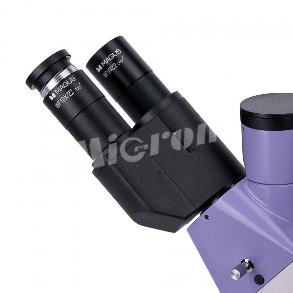 Микроскоп люминесцентный инвертированный MAGUS Lum V500 (82908)
