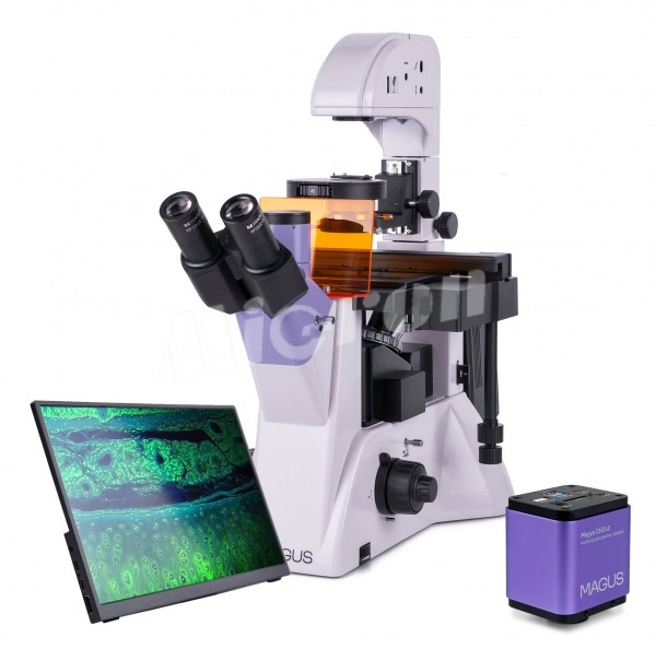Микроскоп люминесцентный инвертированный цифровой MAGUS Lum VD500 LCD (83021)