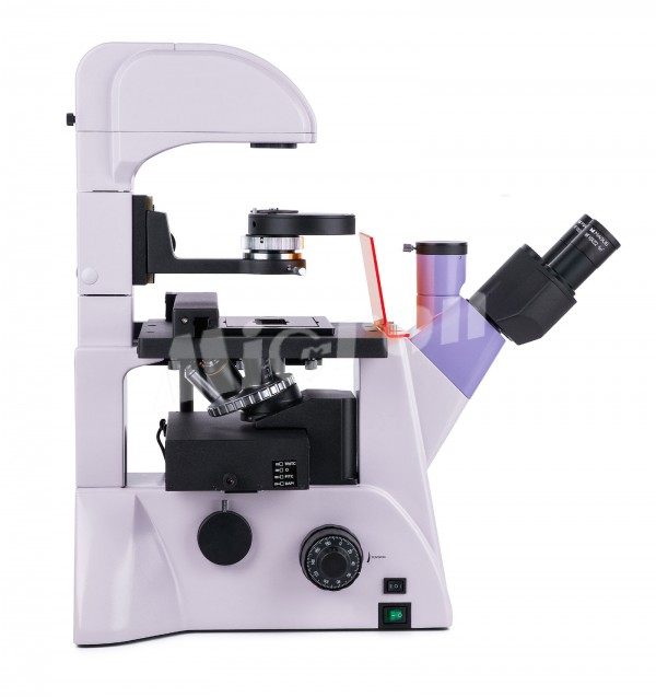 Микроскоп люминесцентный инвертированный MAGUS Lum V500L (82909)