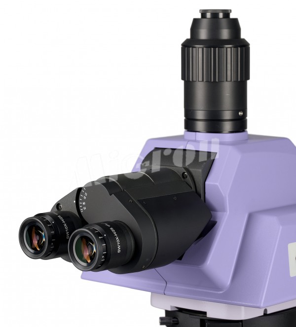 Микроскоп биологический MAGUS Bio 290T (83482)