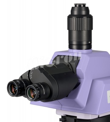 Микроскоп биологический MAGUS Bio 290T (83482)