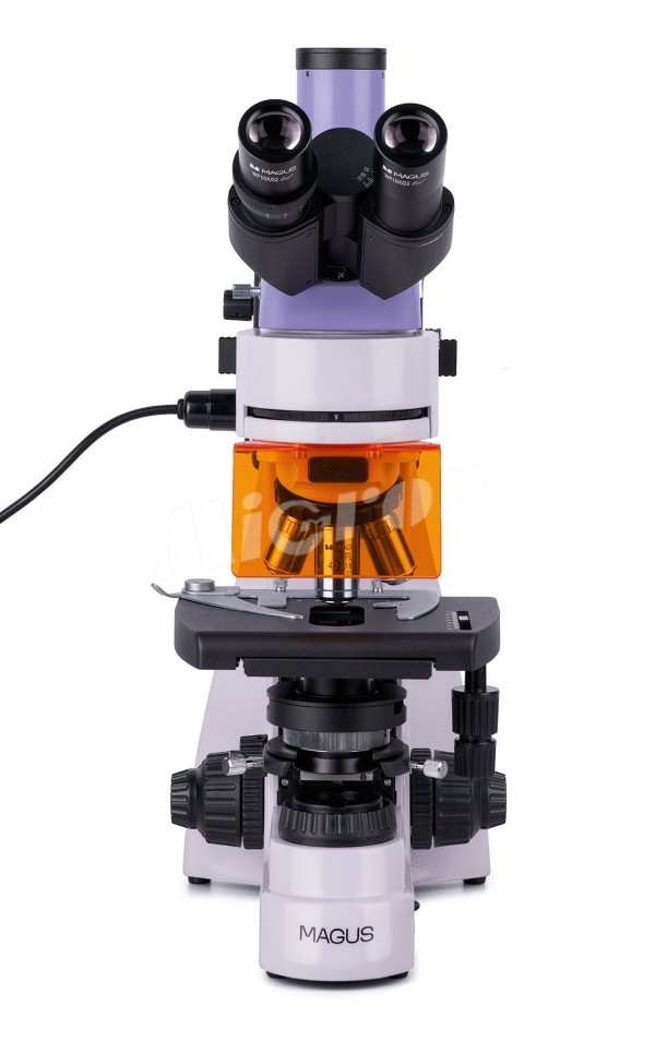 Микроскоп люминесцентный MAGUS Lum 400 (82904)