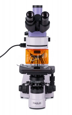 Микроскоп люминесцентный MAGUS Lum 400 (82904)