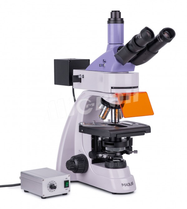 Микроскоп люминесцентный MAGUS Lum 400L (82905)